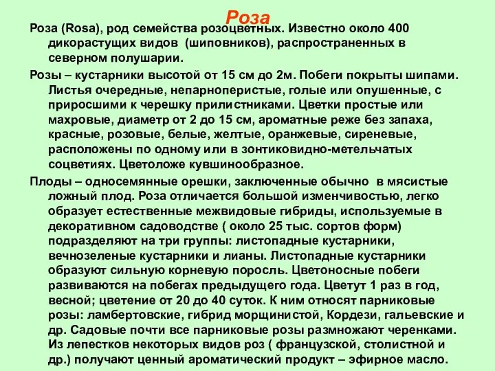 Роза Роза (Rosa), род семейства розоцветных. Известно около 400 дикорастущих видов