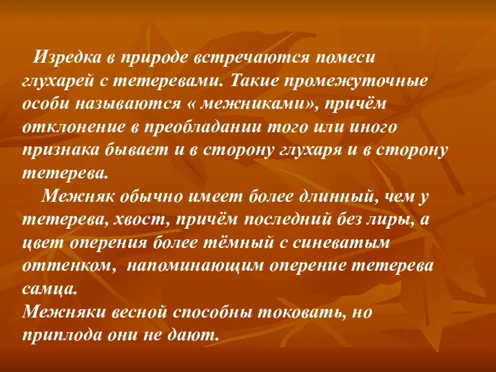 Изредка в природе встречаются помеси глухарей с тетеревами. Такие промежуточные особи