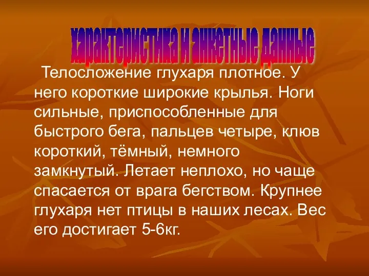 характеристика и анкетные данные Телосложение глухаря плотное. У него короткие широкие