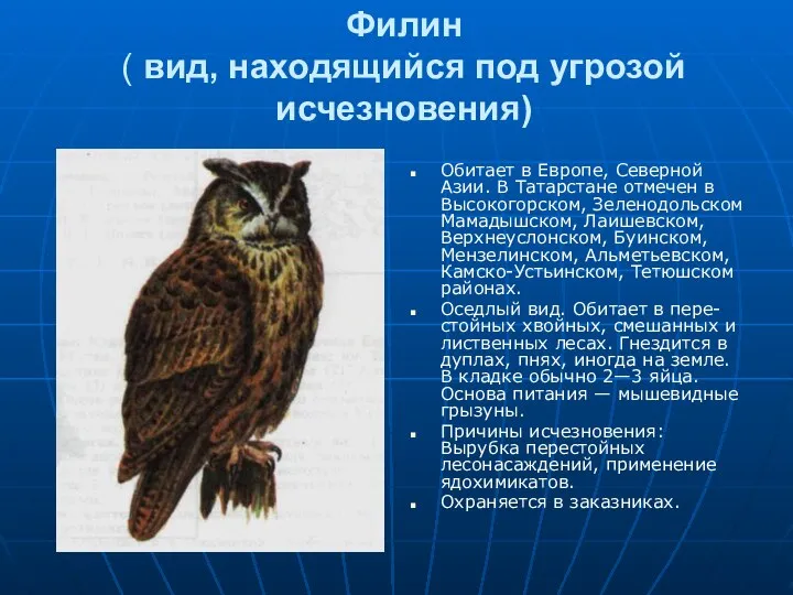 Филин ( вид, находящийся под угрозой исчезновения) Обитает в Европе, Северной