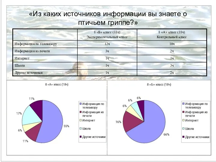 «Из каких источников информации вы знаете о птичьем гриппе?»