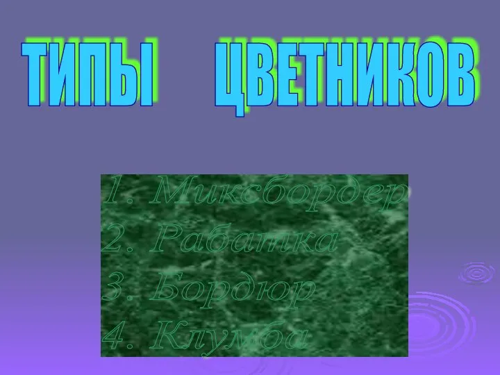 ТИПЫ ЦВЕТНИКОВ 1. Миксбордер 2. Рабатка 3. Бордюр 4. Клумба