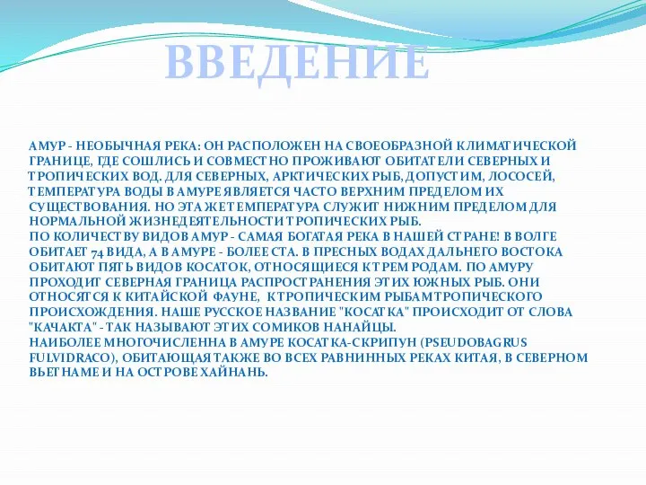 Амур - необычная река: он расположен на своеобразной климатической границе, где