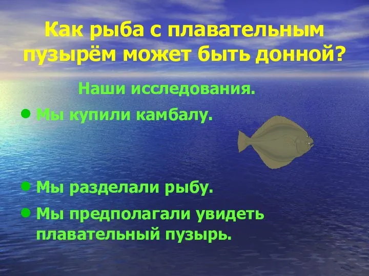 Как рыба с плавательным пузырём может быть донной? Наши исследования. Мы