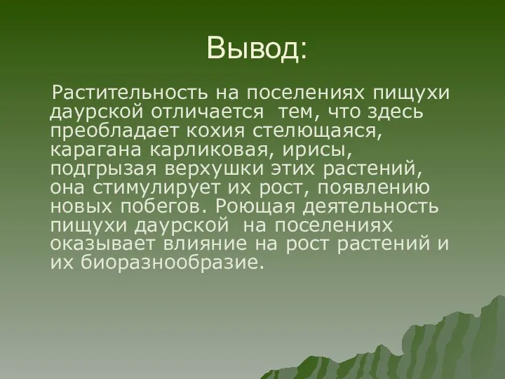 Вывод: Растительность на поселениях пищухи даурской отличается тем, что здесь преобладает