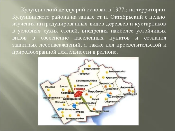 Кулундинский дендрарий основан в 1977г. на территории Кулундинского района на западе