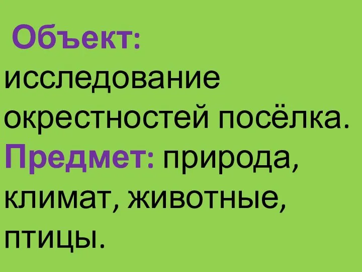 Объект: исследование окрестностей посёлка. Предмет: природа, климат, животные, птицы.