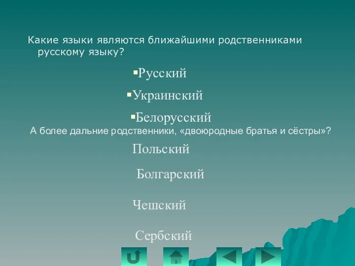 Какие языки являются ближайшими родственниками русскому языку? Украинский Белорусский Русский А