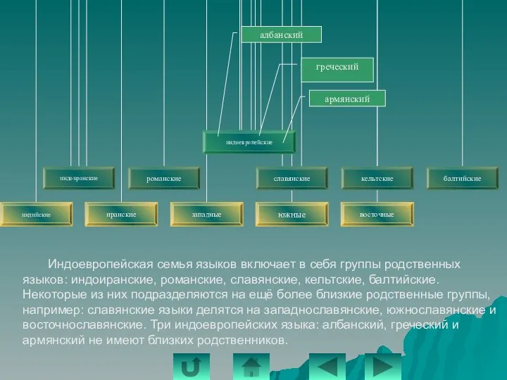 армянский греческий албанский Индоевропейская семья языков включает в себя группы родственных