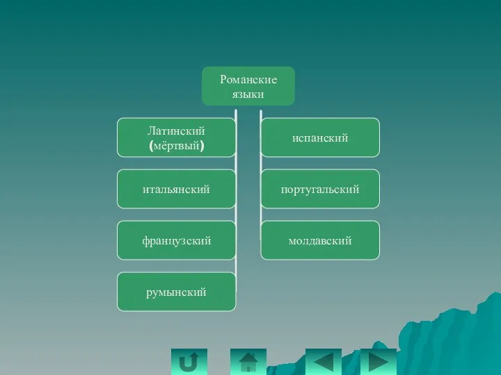 Семья романских языков