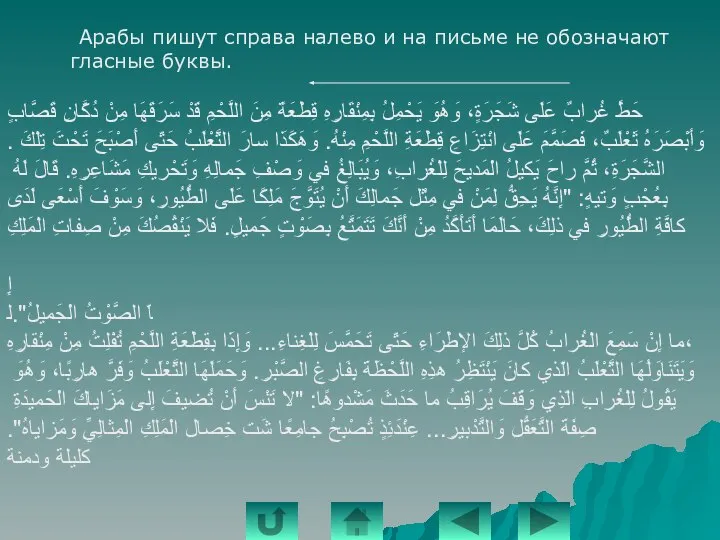 Арабы пишут справа налево и на письме не обозначают гласные буквы.