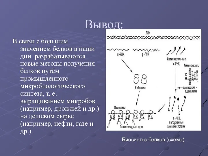 Вывод: В связи с большим значением белков в наши дни разрабатываются