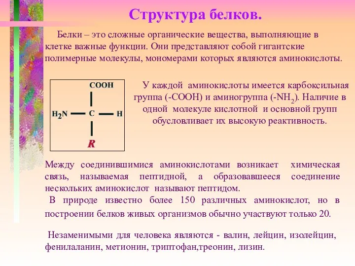 Структура белков. Белки – это сложные органические вещества, выполняющие в клетке