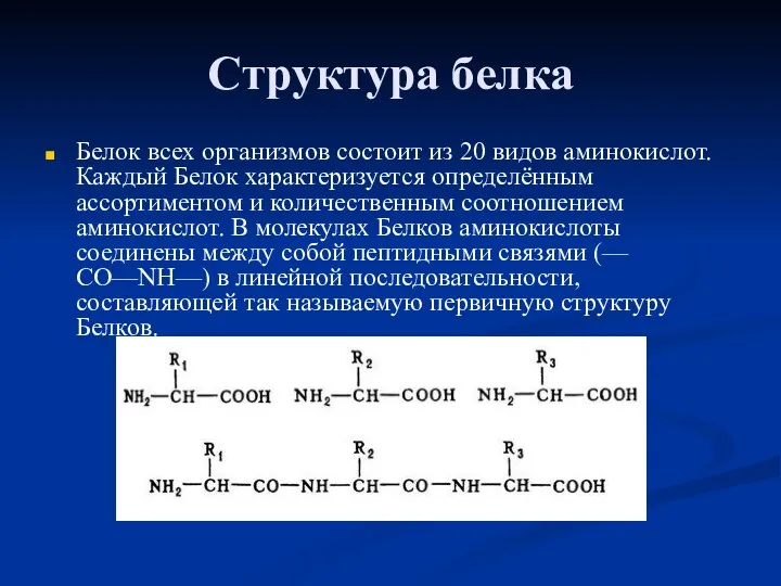 Структура белка Белок всех организмов состоит из 20 видов аминокислот. Каждый