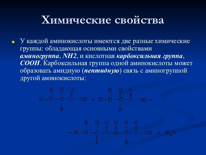 Химические свойства У каждой аминокислоты имеются две разные химические группы: обладающая