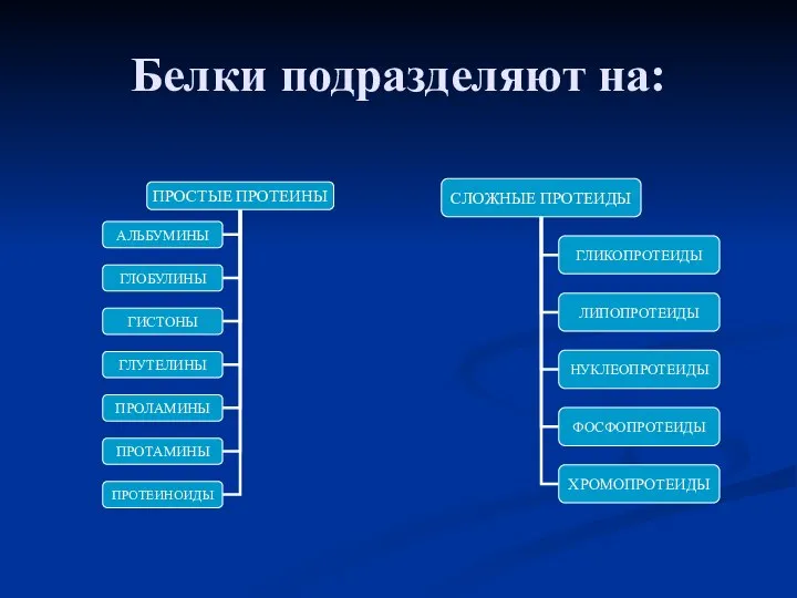 Белки подразделяют на: