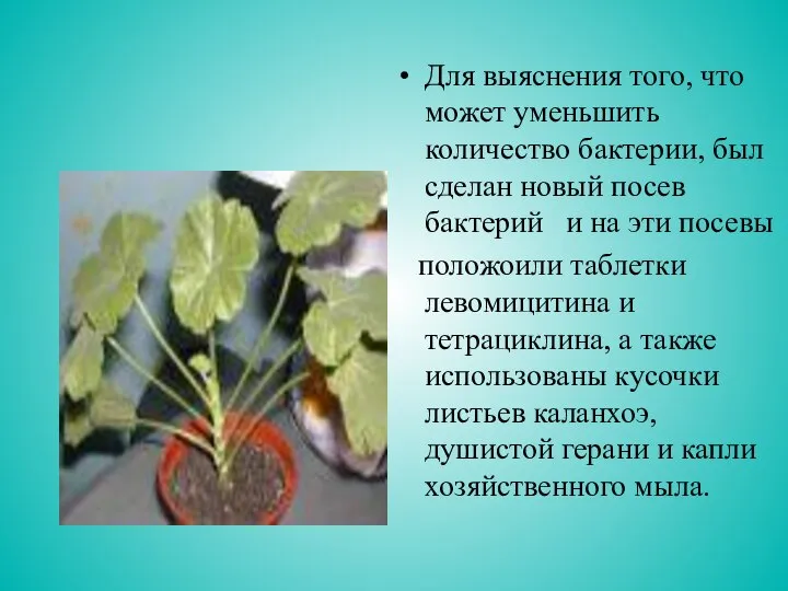 Для выяснения того, что может уменьшить количество бактерии, был сделан новый