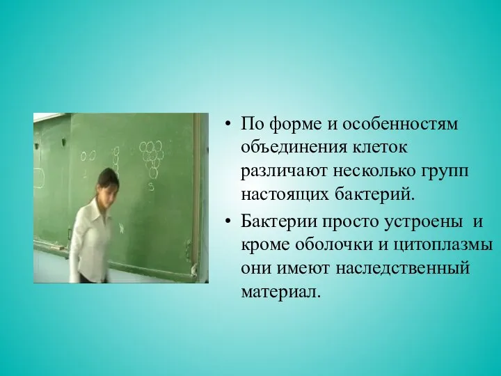 По форме и особенностям объединения клеток различают несколько групп настоящих бактерий.