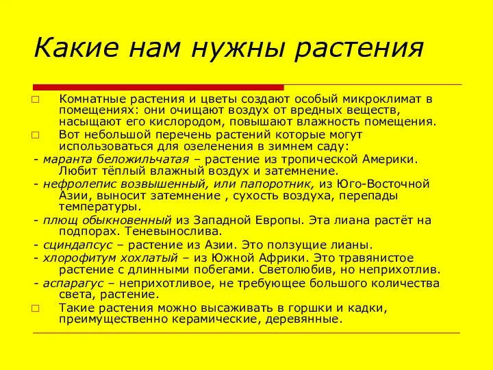 Какие нам нужны растения Комнатные растения и цветы создают особый микроклимат