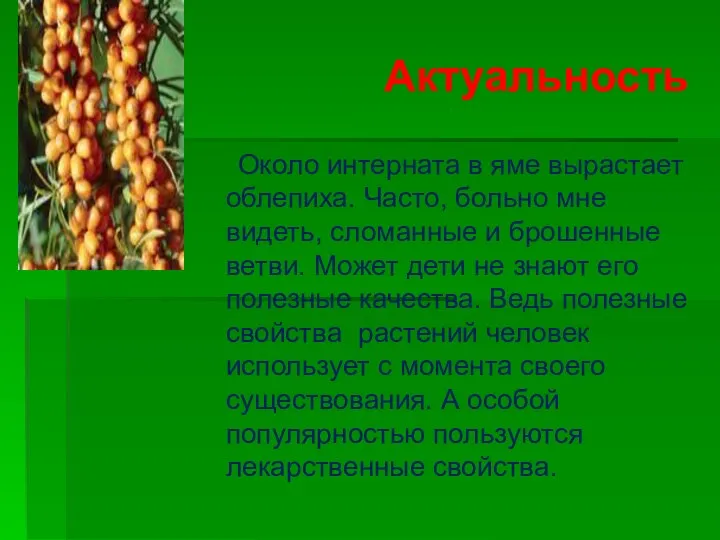 Актуальность Около интерната в яме вырастает облепиха. Часто, больно мне видеть,