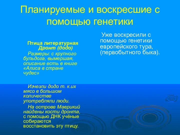 Планируемые и воскресшие с помощью генетики Птица литературная Дронт (додо) Размеры: