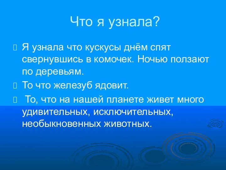 Что я узнала? Я узнала что кускусы днём спят свернувшись в