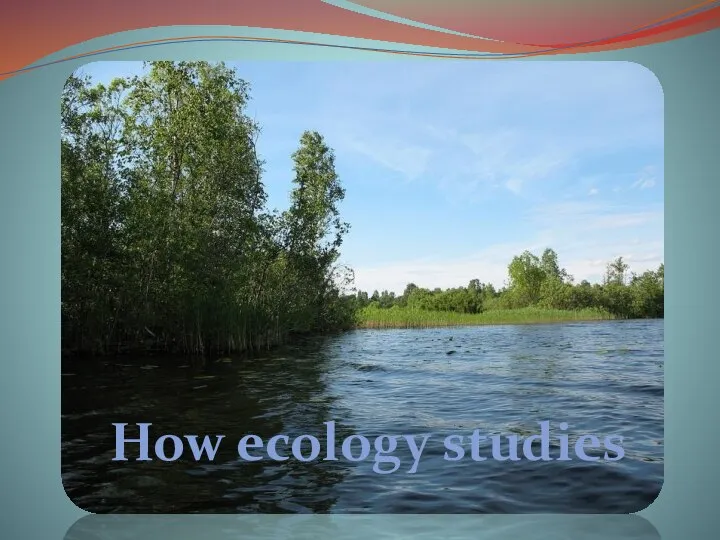 How ecology studies