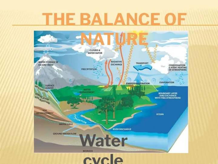 The balance of nature Water cycle