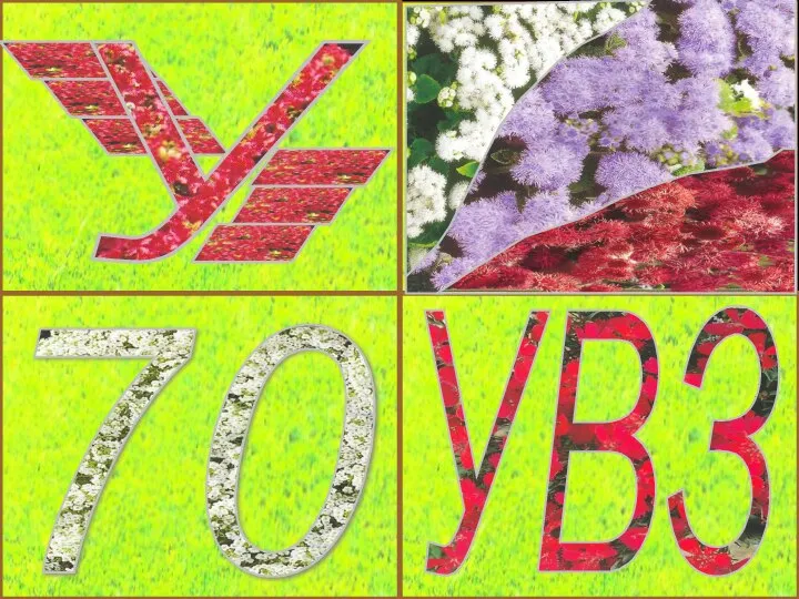 У 70 УВЗ