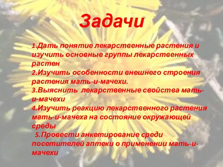 Задачи 1.Дать понятие лекарственные растения и изучить основные группы лекарственных растен