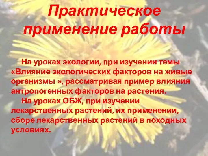 Практическое применение работы На уроках экологии, при изучении темы «Влияние экологических