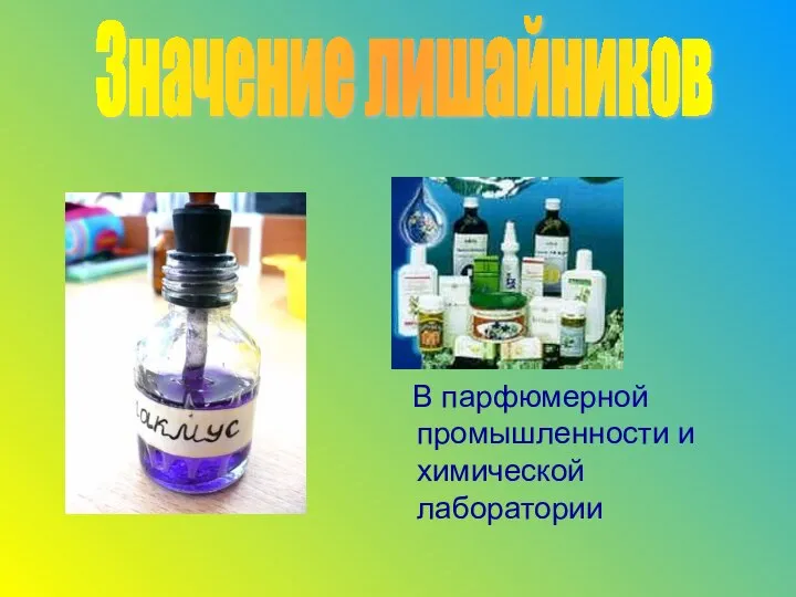 В парфюмерной промышленности и химической лаборатории Значение лишайников