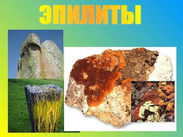 ЭПИЛИТЫ