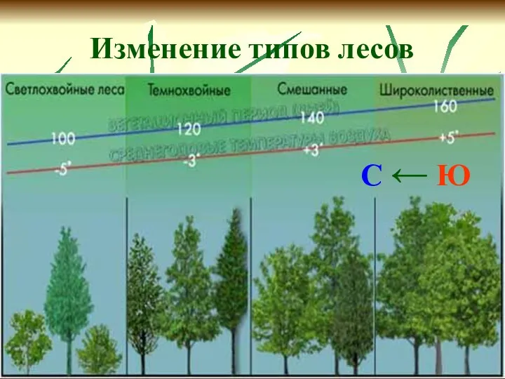 Изменение типов лесов С ← Ю