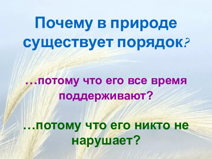 Почему в природе существует порядок? …потому что его все время поддерживают?