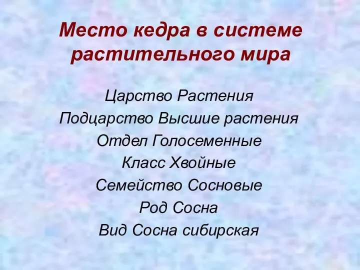 Место кедра в системе растительного мира Царство Растения Подцарство Высшие растения