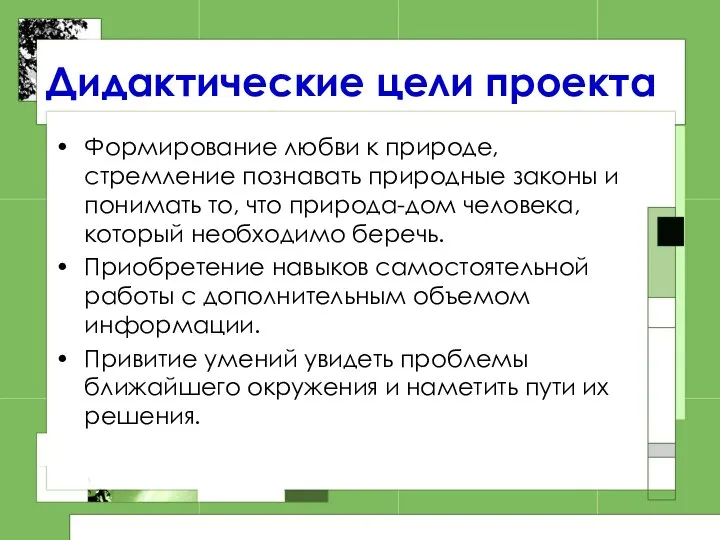 Дидактические цели проекта Формирование любви к природе, стремление познавать природные законы