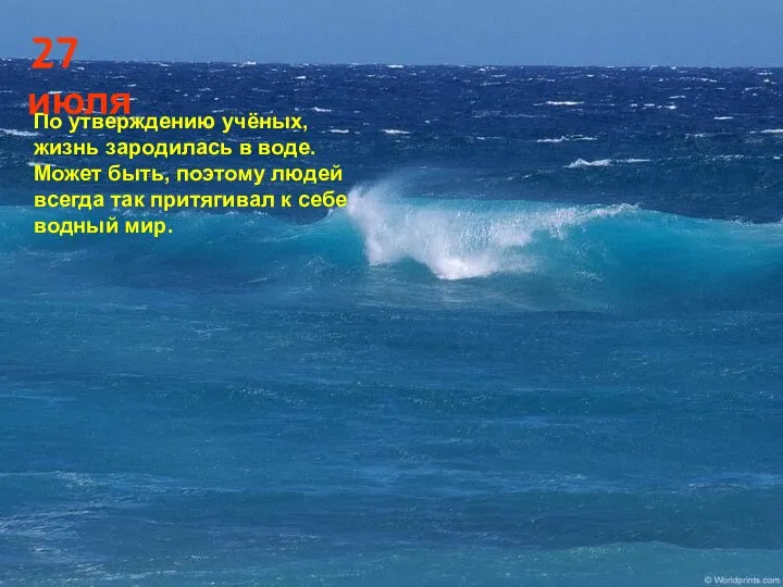 По утверждению учёных, жизнь зародилась в воде. Может быть, поэтому людей