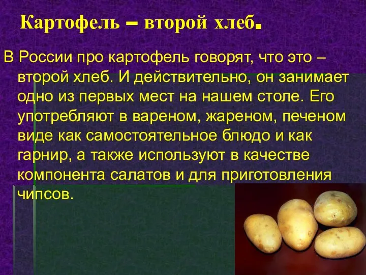 Картофель – второй хлеб. В России про картофель говорят, что это