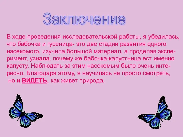 В ходе проведения исследовательской работы, я убедилась, что бабочка и гусеница-