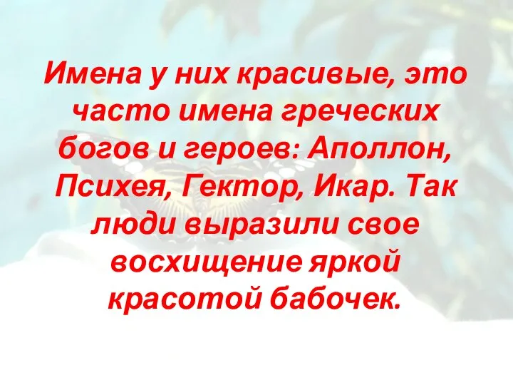 Имена у них красивые, это часто имена греческих богов и героев: