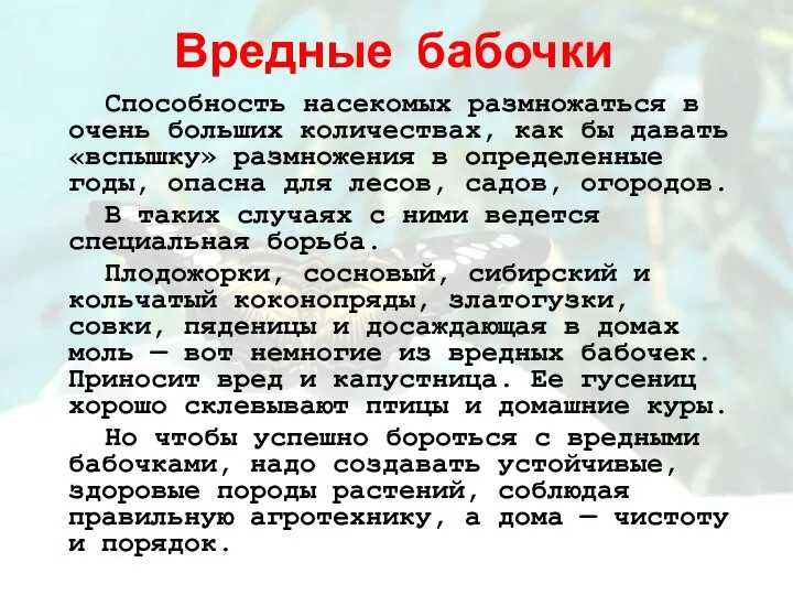 Вредные бабочки Способность насекомых размножаться в очень больших количествах, как бы