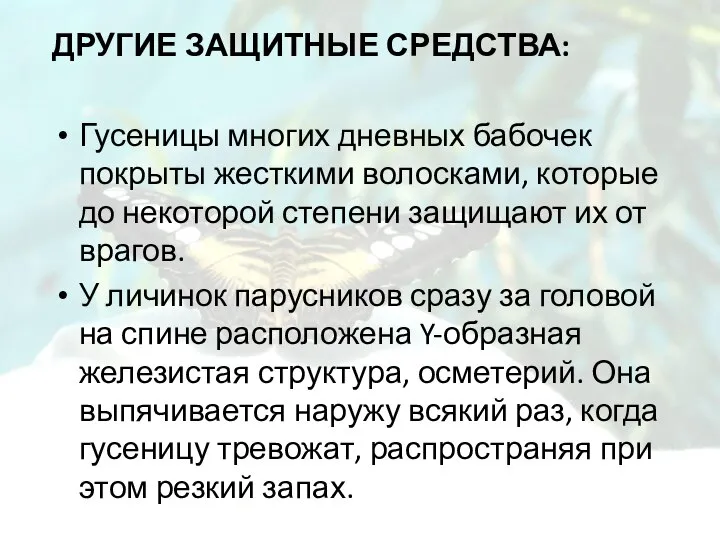 Другие защитные средства: Гусеницы многих дневных бабочек покрыты жесткими волосками, которые