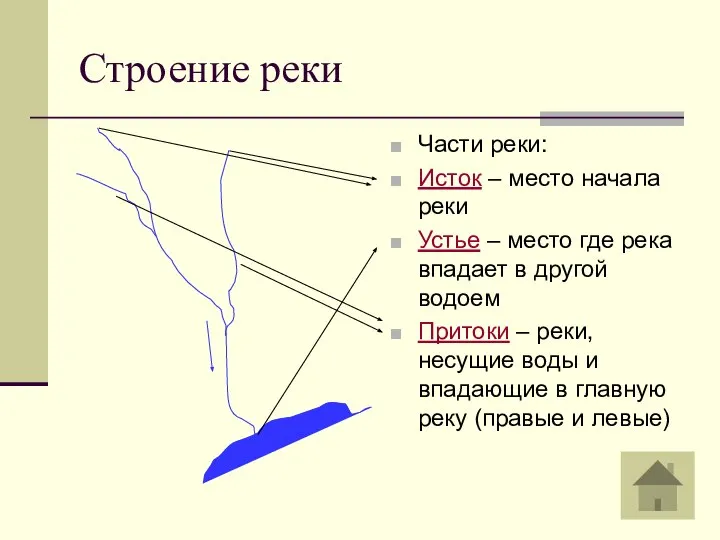 Строение реки Части реки: Исток – место начала реки Устье –