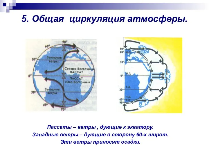 5. Общая циркуляция атмосферы. Пассаты – ветры , дующие к экватору.