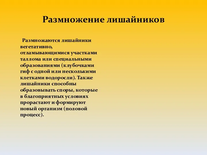 Размножение лишайников Размножаются лишайники вегетативно, отламывающимися участками таллома или специальными образованиями