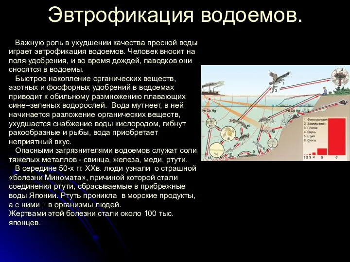 Эвтрофикация водоемов. Важную роль в ухудшении качества пресной воды играет эвтрофикация