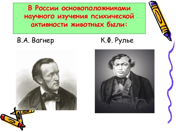 В России основоположниками научного изучения психической активности животных были: В.А. Вагнер К.Ф. Рулье