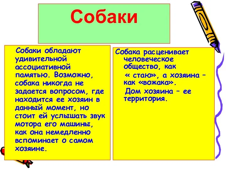 Собаки Собаки обладают удивительной ассоциативной памятью. Возможно, собака никогда не задается