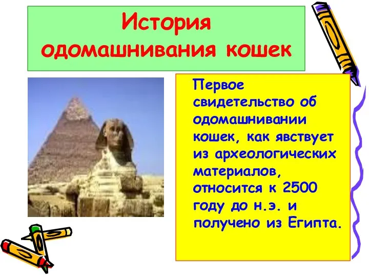 История одомашнивания кошек Первое свидетельство об одомашнивании кошек, как явствует из